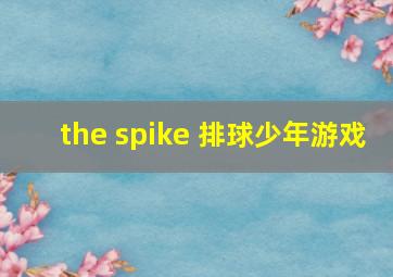 the spike 排球少年游戏